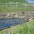 HSchiess_0029